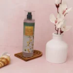 بادی میست چیسینگ فایر فلایز بث اند بادی